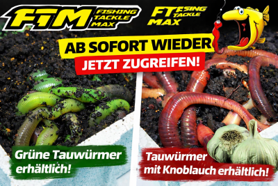 Ab sofort wieder erhältlich: Grüne...