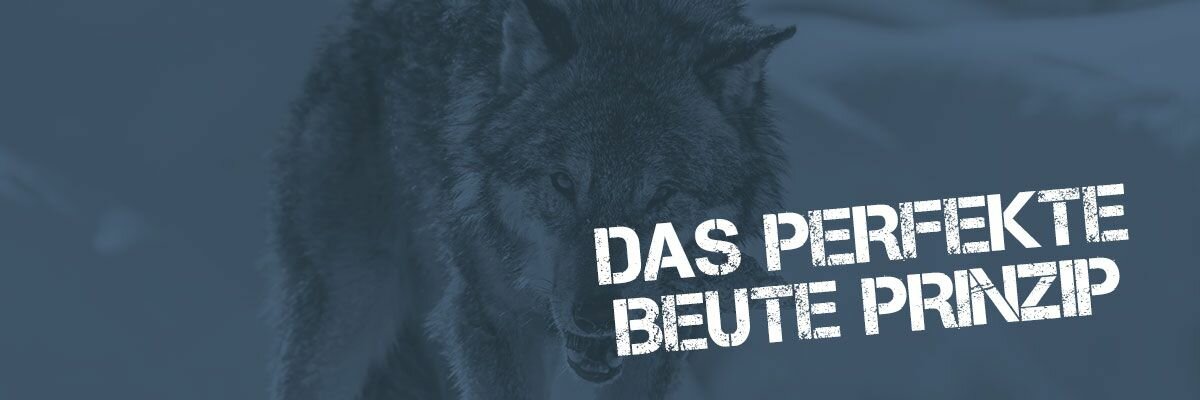 DAS PERFEKTE BEUTE PRINZIP