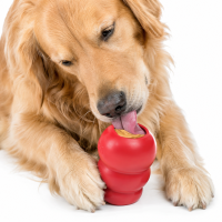 KONG Classic M Hundespielzeug rot | Kauspielzeug für Hu