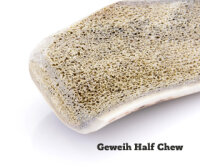 Halbiertes Geweihstück Half Chew S