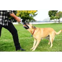 Chuckit Ultra Tug S 5cm 4