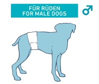 Windeln für Rüden L-XL 60-80cm 2
