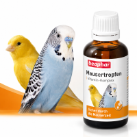 Beaphar Mausertropfen 50 ml für Ziervögel 2