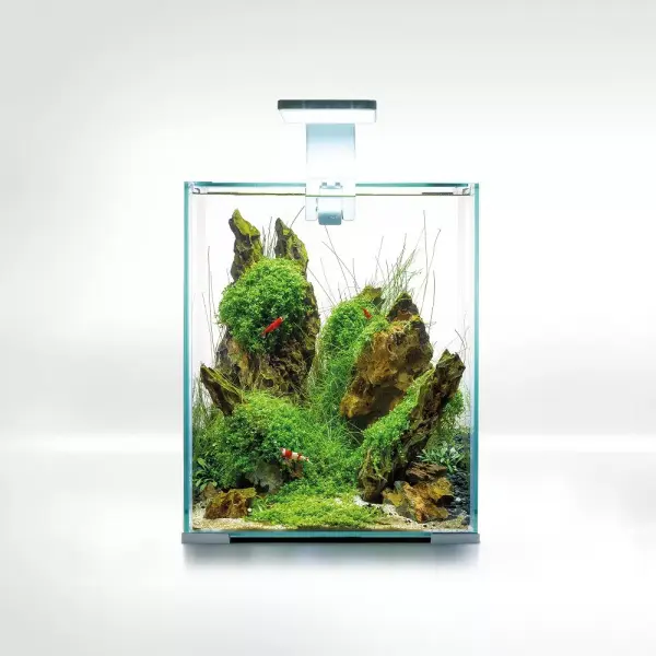 Aquael Shrimp Set 20 weiß LED Day & Night