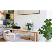 Aquael Shrimp Set 10 schwarz LED Day & Night