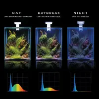 Aquael Shrimp Set 10 weiß LED Day & Night