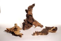 Mopani Wurzel M gallery