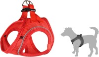 GESCHIRR STEP&GO BENTO ROT XL 49-54CM 1