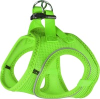 GESCHIRR STEP&GO BENTO grün 42-46CM 1