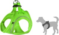 GESCHIRR STEP&GO BENTO grün 42-46CM 2