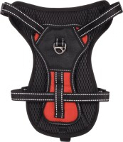 GESCHIRR KELSO ROT M 34-50CM 20MM 4