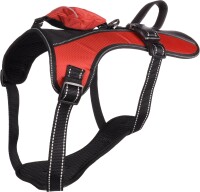 GESCHIRR KELSO ROT L 44-64CM 25MM 2