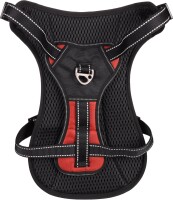 GESCHIRR KELSO ROT L 44-64CM 25MM 4