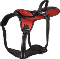 GESCHIRR KELSO ROT XL 54-84CM 25MM 2