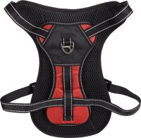 GESCHIRR KELSO ROT XL 54-84CM 25MM 4