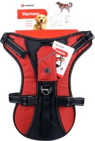 GESCHIRR KELSO ROT XL 54-84CM 25MM 6