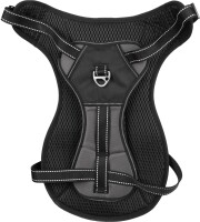 GESCHIRR KELSO GRAU S 30-46CM 15MM 4