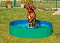 Doggy Splash Pool Grün/Blau 160 x 30 cm 2