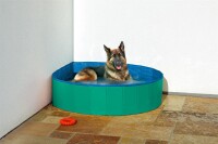 Doggy Splash Pool Grün/Blau 160 x 30 cm 3