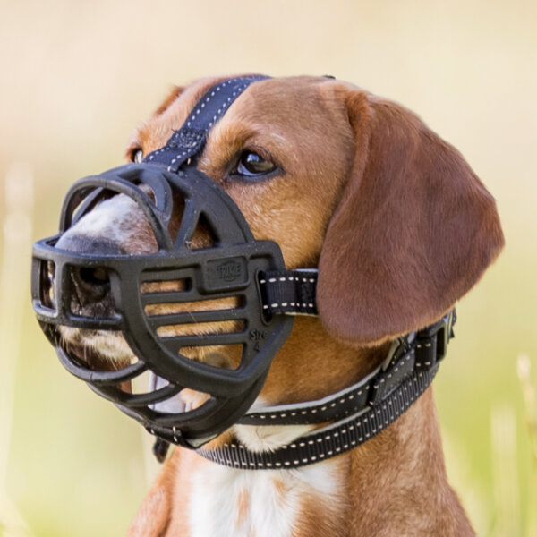 Muzzle Flex Maulkorb Gummi Schwarz