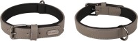 HALSBAND BINTI GRAU S/M 31-39CM 20MM 1