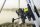 Zebco Cursus Runner