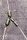 Browning Feeder Connector Wirbel