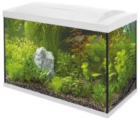 SuperFish START 70 TROPICAL KIT WEISS