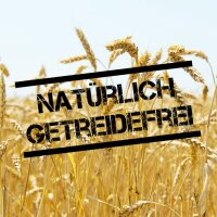 LEITWOLF SELECTED DUCK ADULT - Ente & Kartoffel 2kg