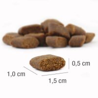 PLATINUM Adult Beef+Potato 5kg