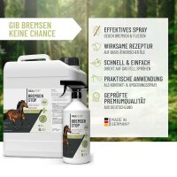 Bremsen Stop Spray 6L