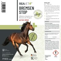 Bremsen Stop Spray 6L
