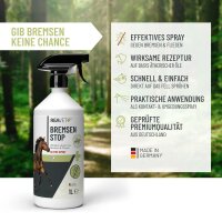Bremsen Stop Spray 1L