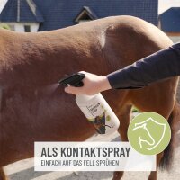 Bremsen Stop Spray 1L