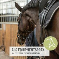 Bremsen Stop Spray 1L