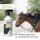 Bremsen Stop Spray 1L