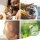 REAVET Hygiene-Spray 1L
