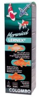 Lernex 400gr. 100000L