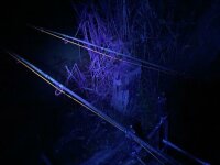 ANACONDA Vipex Uv-Blacklight