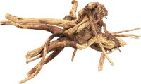 BIOART SPIDER HOLZ 10-15 CM
