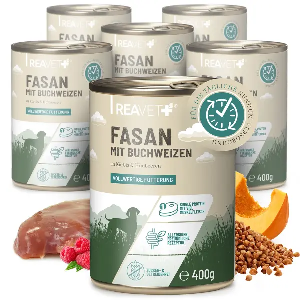 REAVET Fasan mit Buchweizen an Kürbis & Himbeeren 400g