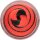 Berkley Trout Bait Natural Scent Anis Black / Fluo Red 50g