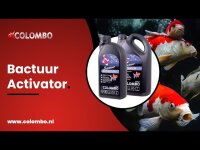 COLOMBO BACTUUR ACTIVATOR 1.000 ML