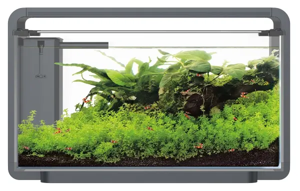 SF HOME PROLED 30 AQUARIUM SCHWARZ