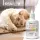 Magen & Darm Tropfen Katzen 50ml 5