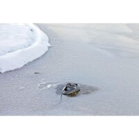 Oase Eisfreihalter IceFree Thermo 200 -SALE- Der Winter...