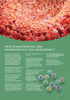 fumi´s P4D Peptide+  Zahnpflege 10kg