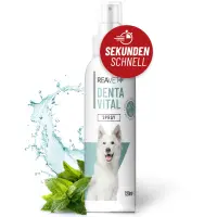 Denta Vital Spray 120ml