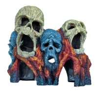 SUPERFISH DECO TIKI SCHÄDEL gallery