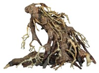 SUPERFISH BONSAI WURZEL SMALL gallery